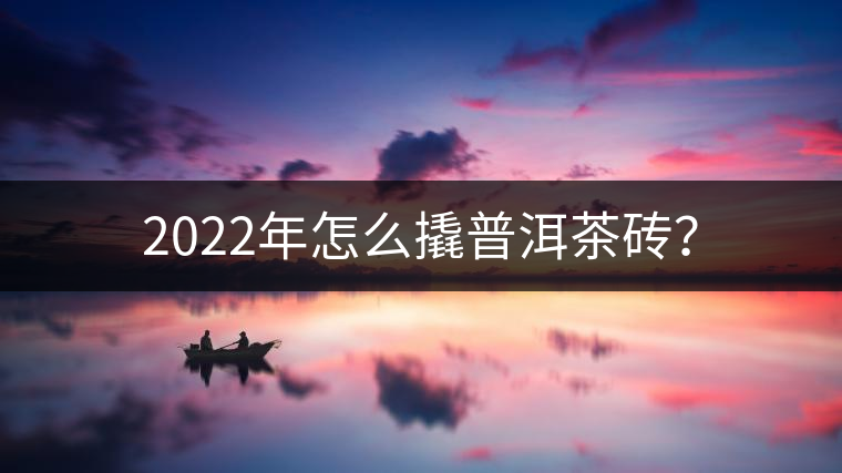 2022年怎么撬普洱茶磚？