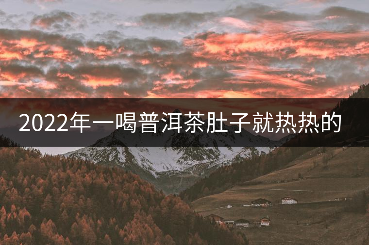 2022年一喝普洱茶肚子就熱熱的怎么回事？