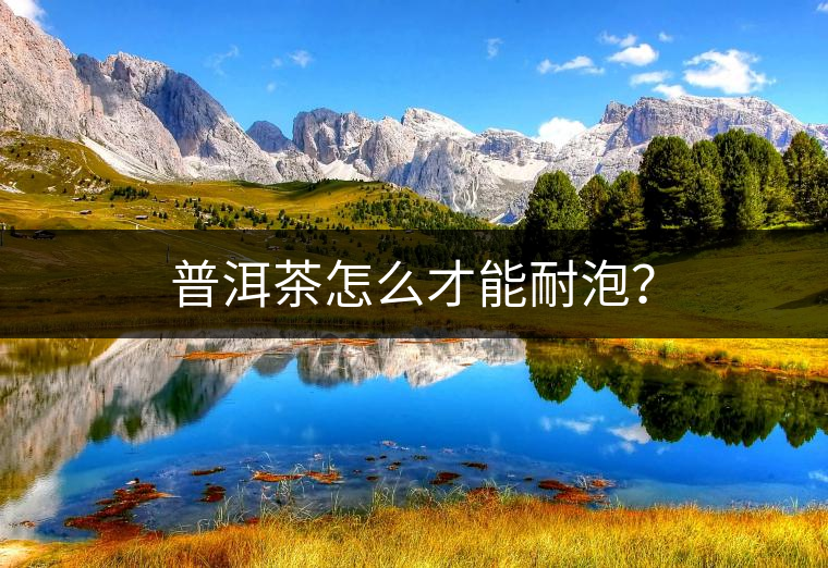 普洱茶怎么才能耐泡？