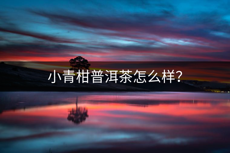 小青柑普洱茶怎么樣？