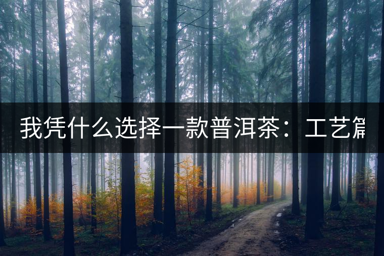 我憑什么選擇一款普洱茶：工藝篇？