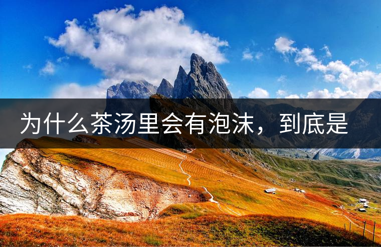 為什么茶湯里會(huì)有泡沫，到底是怎么回事？