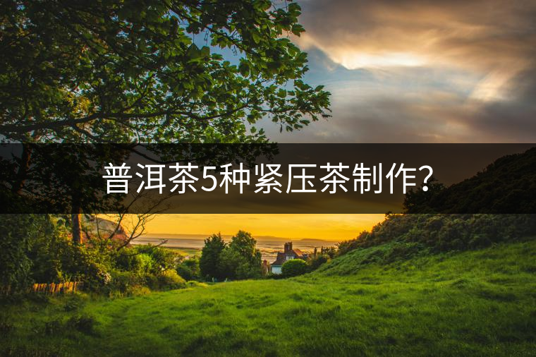 普洱茶5種緊壓茶制作？