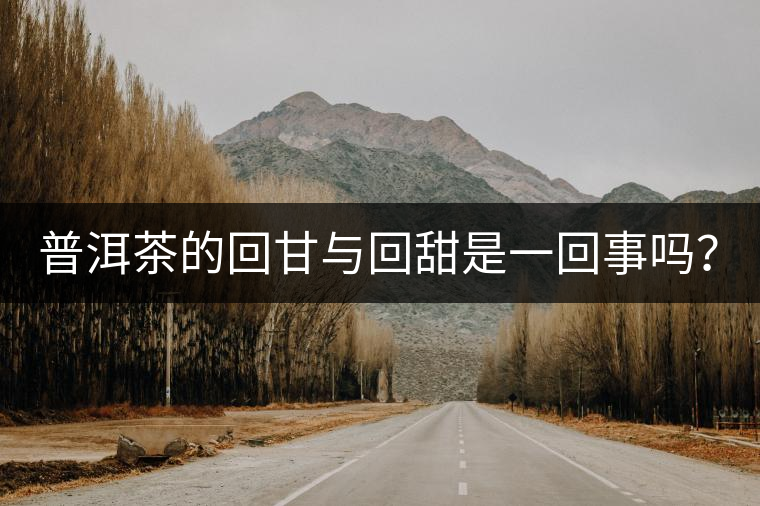 普洱茶的回甘與回甜是一回事嗎？？