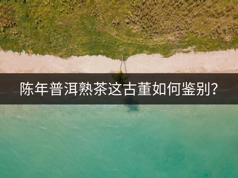 陳年普洱熟茶這古董如何鑒別？