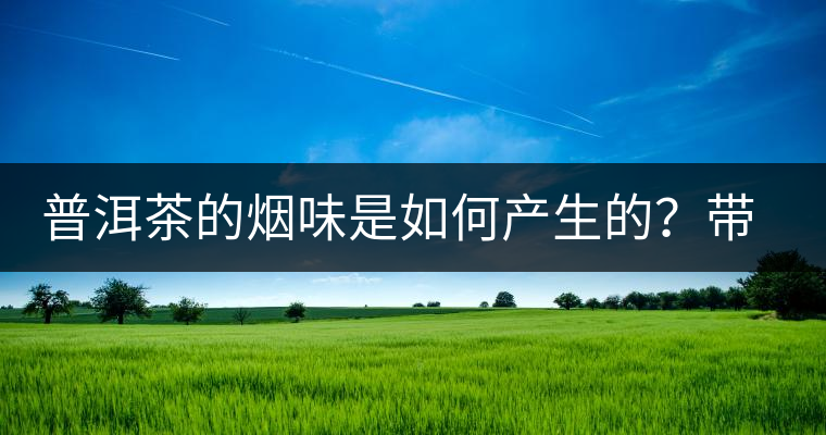 普洱茶的煙味是如何產(chǎn)生的？帶煙味的普洱茶是好還是壞？