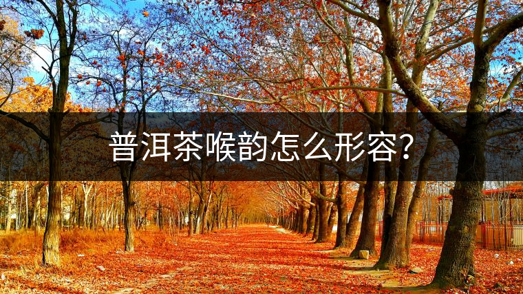 普洱茶喉韻怎么形容？