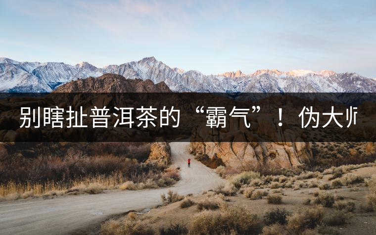 別瞎扯普洱茶的“霸氣”！偽大師！