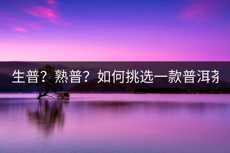 生普？熟普？如何挑選一款普洱茶？