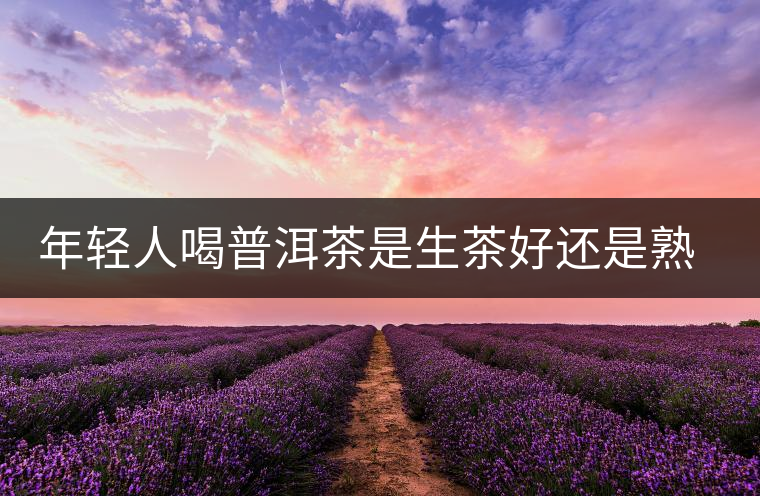 年輕人喝普洱茶是生茶好還是熟茶好？該怎么選擇？