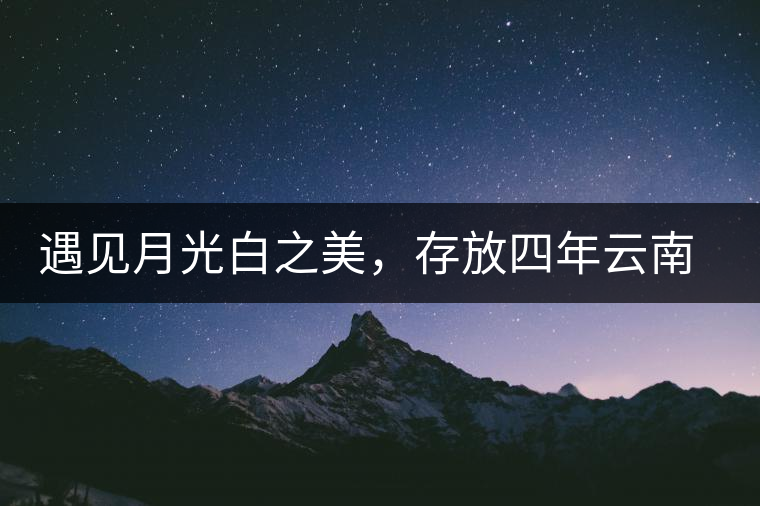 遇見月光白之美，存放四年云南古樹白茶
