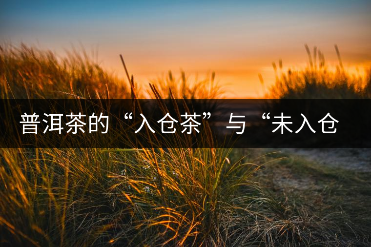 普洱茶的“入倉茶”與“未入倉茶”如何區(qū)分，你造嗎？