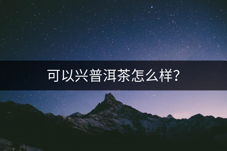 可以興普洱茶怎么樣？