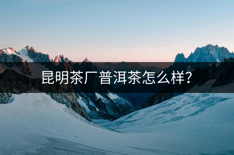 昆明茶廠普洱茶怎么樣？