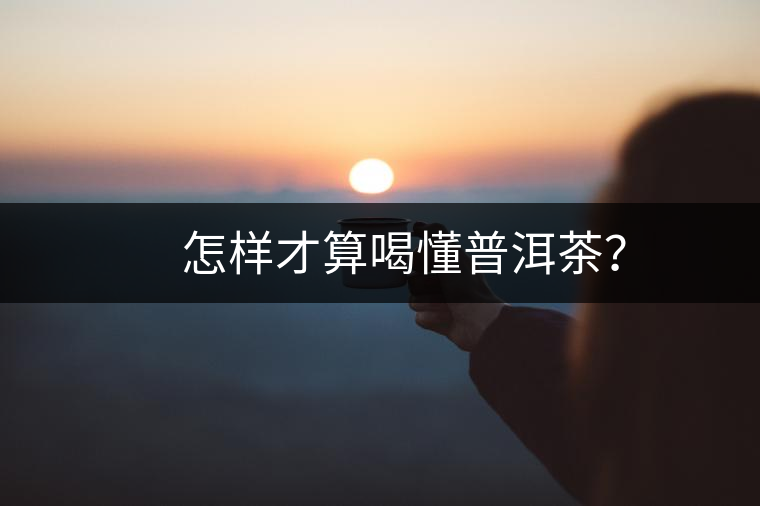 　怎樣才算喝懂普洱茶？