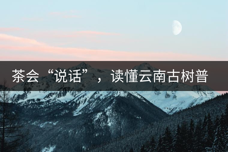 茶會(huì)“說(shuō)話”，讀懂云南古樹(shù)普洱茶的秘訣