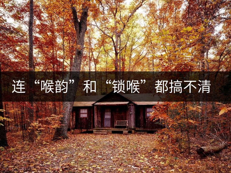 連“喉韻”和“鎖喉”都搞不清楚，就不要說懂普洱茶！