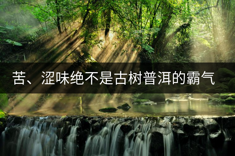 苦、澀味絕不是古樹(shù)普洱的霸氣，那也叫懂普洱茶，別逗了！