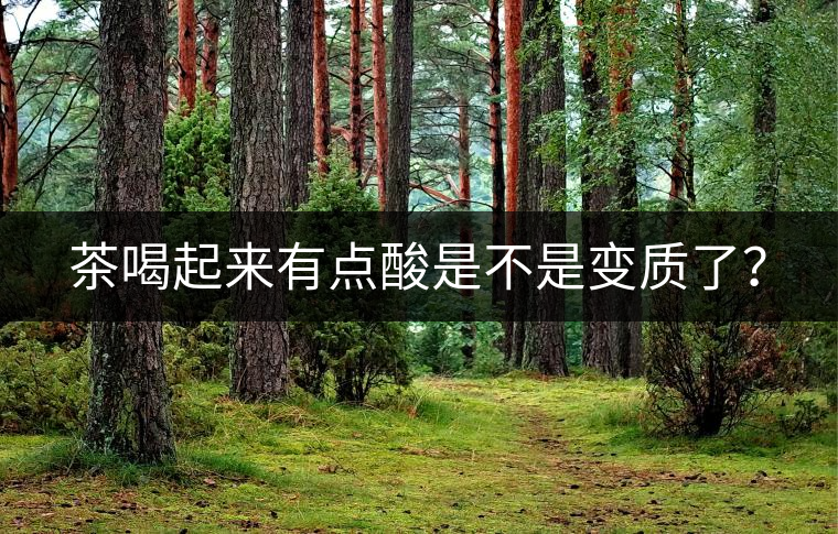 茶喝起來有點(diǎn)酸是不是變質(zhì)了？