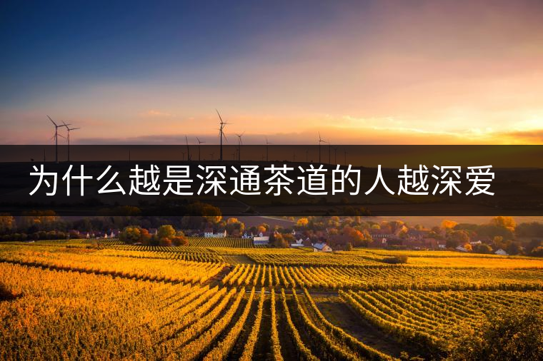 為什么越是深通茶道的人越深愛普洱茶？喜歡普洱茶，有三個原因。