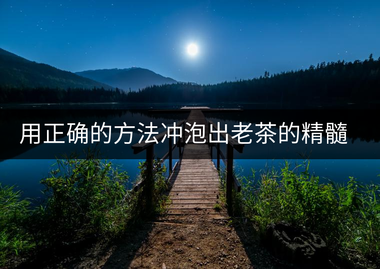 用正確的方法沖泡出老茶的精髓；評看普洱茶葉底也是一門手藝！