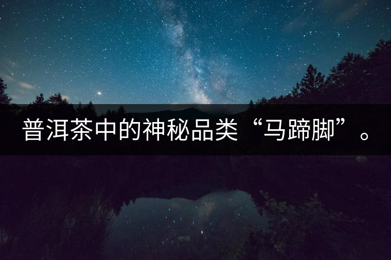 普洱茶中的神秘品類“馬蹄腳”。