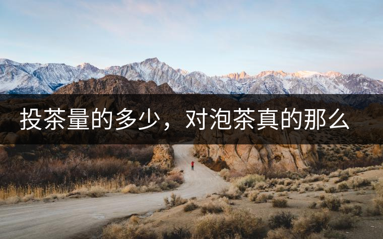 投茶量的多少，對泡茶真的那么重要嗎？