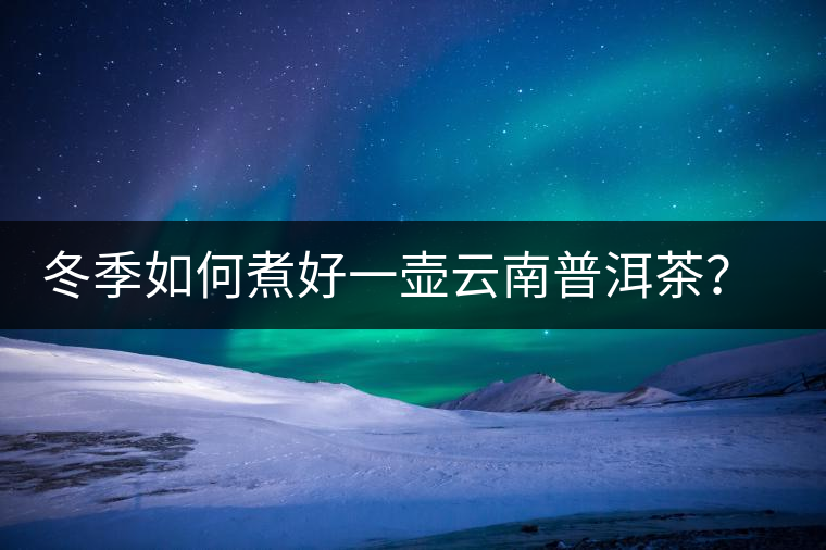 冬季如何煮好一壺云南普洱茶？記好這份煮茶攻略