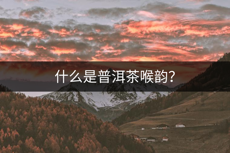 什么是普洱茶喉韻？