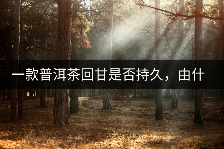 一款普洱茶回甘是否持久，由什么決定？