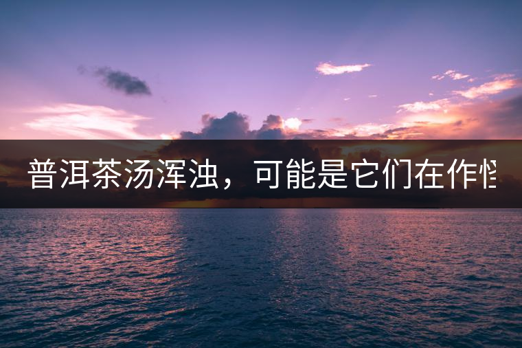 普洱茶湯渾濁，可能是它們在作怪？