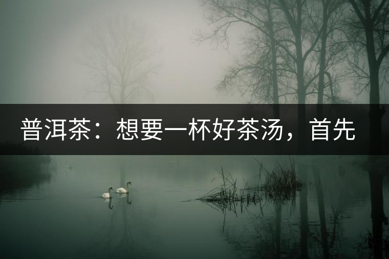 普洱茶：想要一杯好茶湯，首先要會醒茶