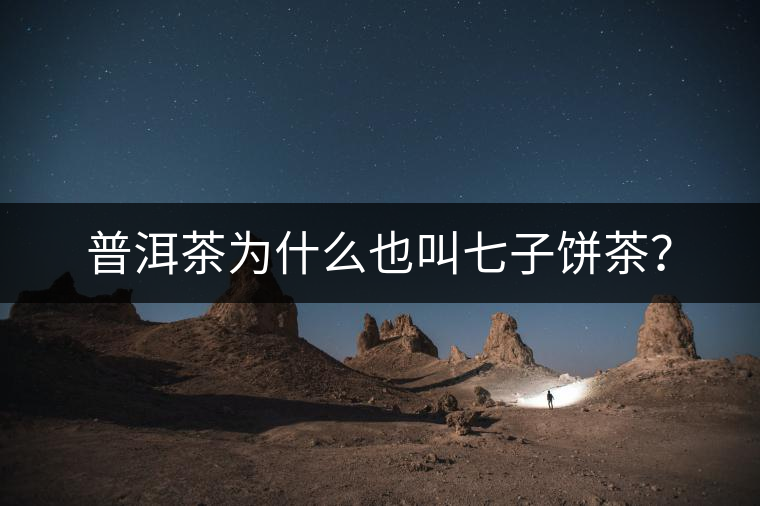 普洱茶為什么也叫七子餅茶？