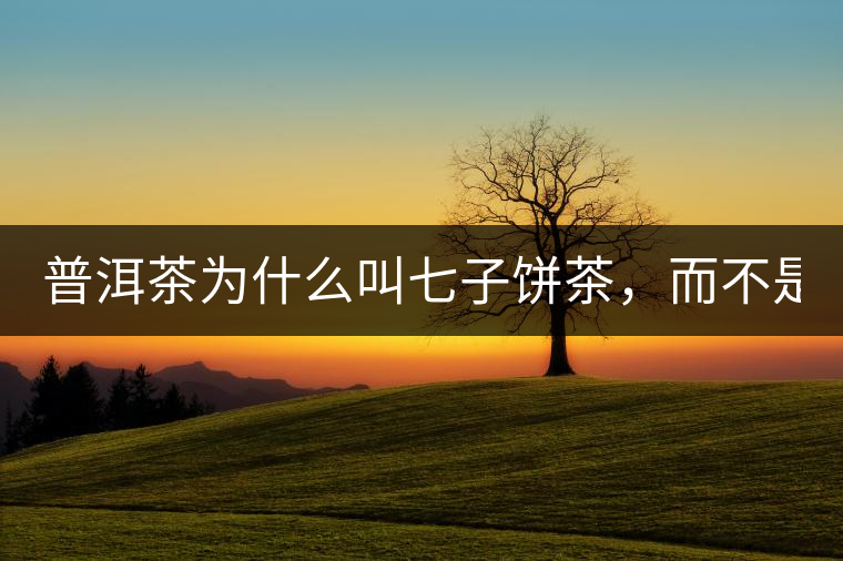 普洱茶為什么叫七子餅茶，而不是六子餅、八子餅......？