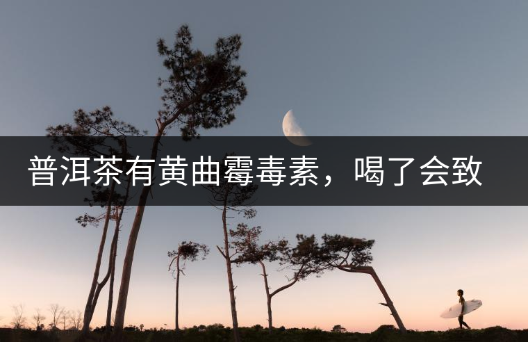 普洱茶有黃曲霉毒素，喝了會致癌？不黑不吹，咱用事實說話