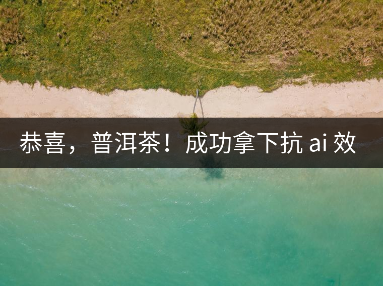 恭喜，普洱茶！成功拿下抗 ai 效果第二名！