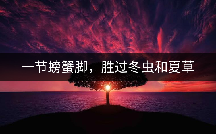 一節(jié)螃蟹腳，勝過冬蟲和夏草