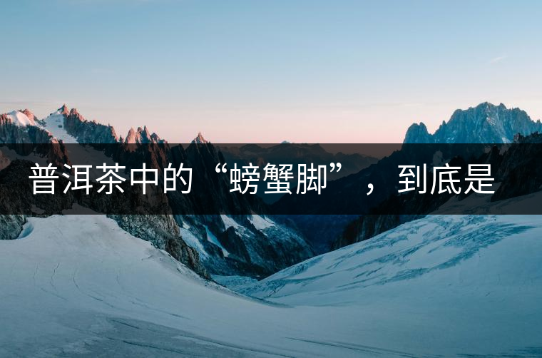 普洱茶中的“螃蟹腳”，到底是什么？如何辨別？