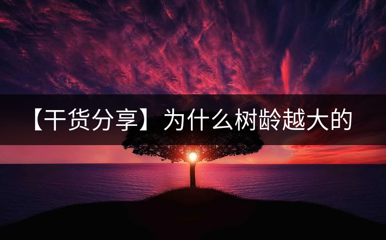 【干貨分享】為什么樹齡越大的普洱生茶，苦味越容易化掉？