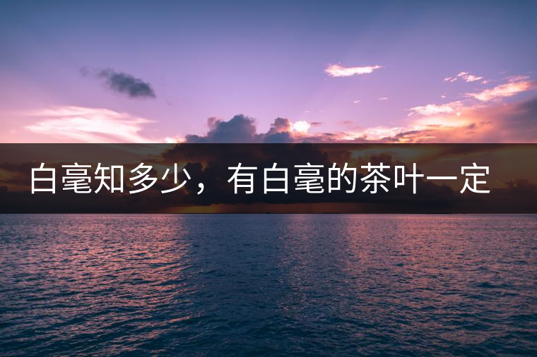 白毫知多少，有白毫的茶葉一定好嗎？