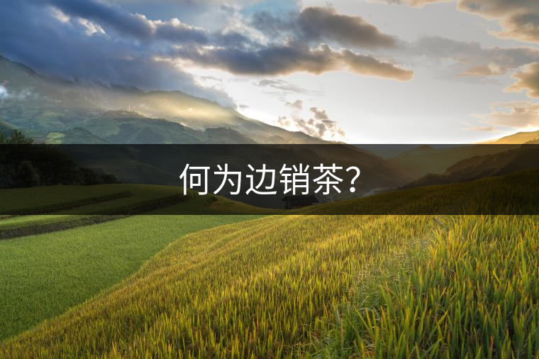 何為邊銷茶？