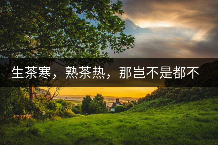 生茶寒，熟茶熱，那豈不是都不能喝了？丨實(shí)用