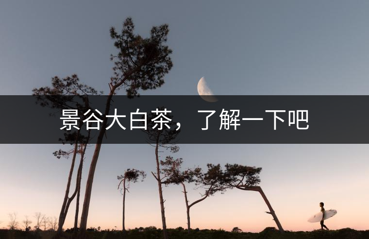 景谷大白茶，了解一下吧