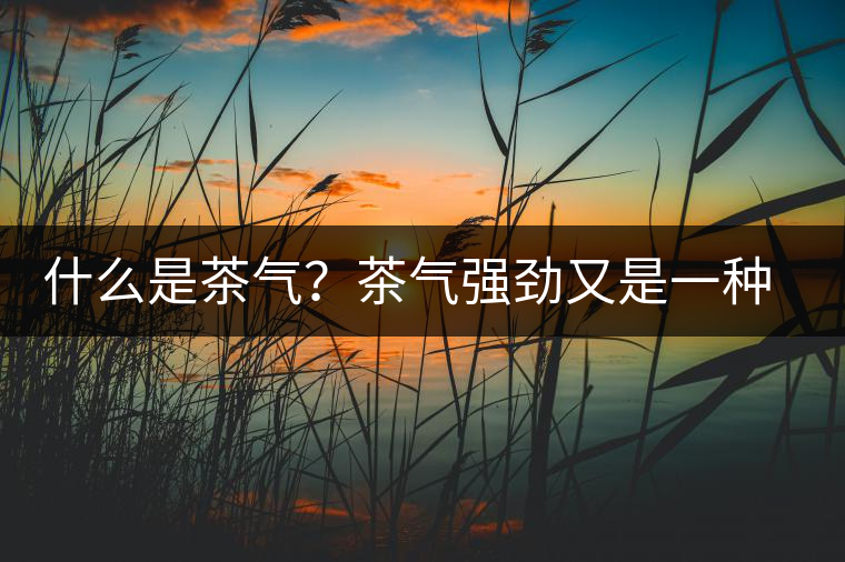 什么是茶氣？茶氣強(qiáng)勁又是一種怎樣的體驗(yàn)？