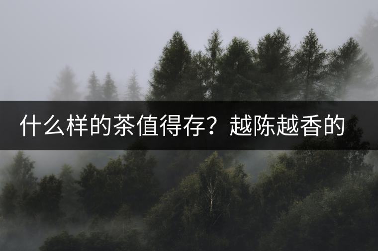 什么樣的茶值得存？越陳越香的本質(zhì)是什么？