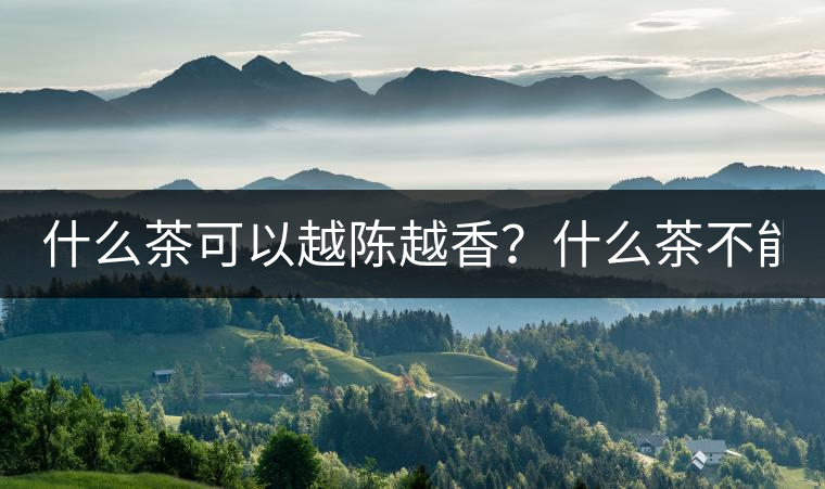 什么茶可以越陳越香？什么茶不能？