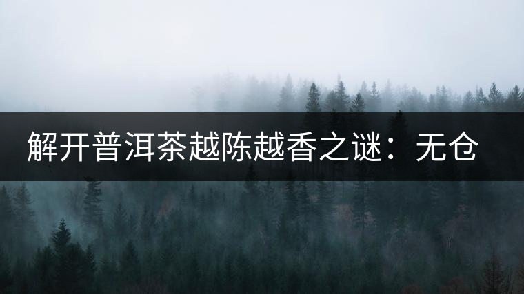 解開普洱茶越陳越香之謎：無(wú)倉(cāng)不成普洱