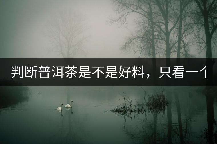 判斷普洱茶是不是好料，只看一個(gè)地方！