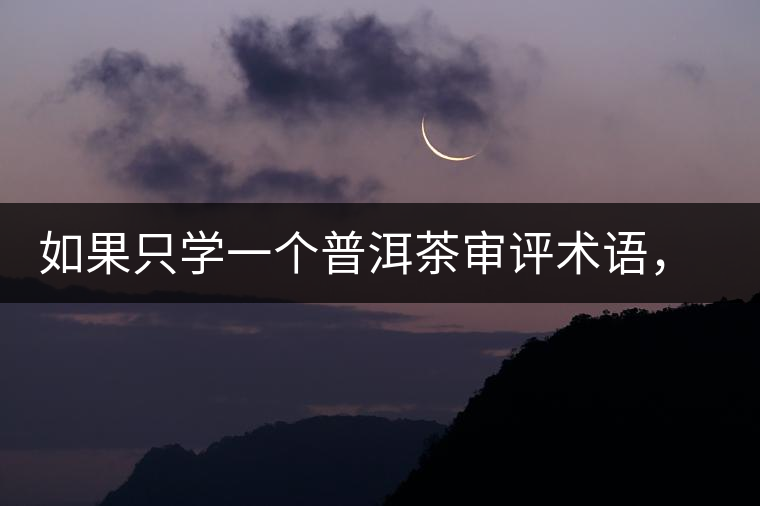 如果只學(xué)一個普洱茶審評術(shù)語，那應(yīng)該是什么？