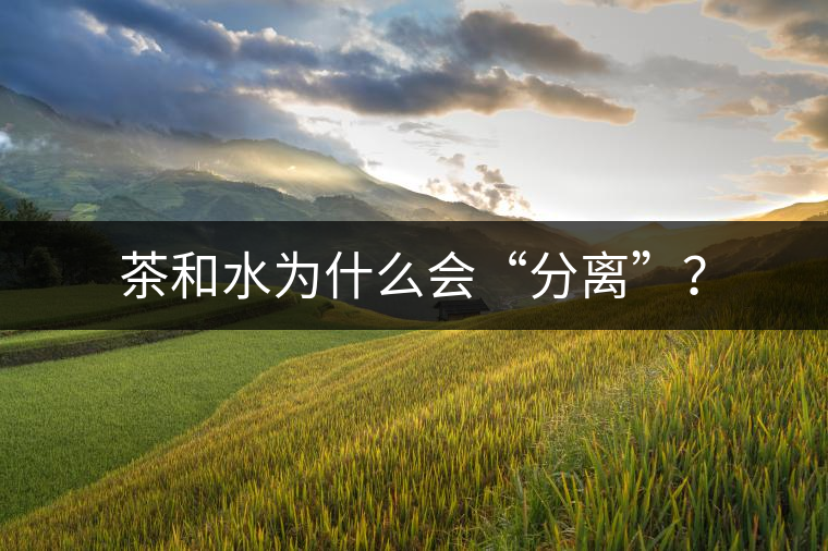 茶和水為什么會(huì)“分離”？